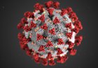 No, Covid-19 Vaccines Won't Make You Magnetic. Here's Why