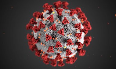 No, Covid-19 Vaccines Won't Make You Magnetic. Here's Why