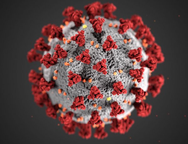No, Covid-19 Vaccines Won't Make You Magnetic. Here's Why